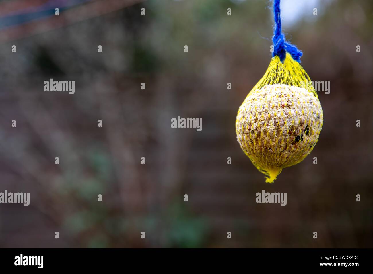Ecological Dilemma: Yellow Fat Balls Bird Feeder in Plastic Net, Environmental Impact. Stock Photo