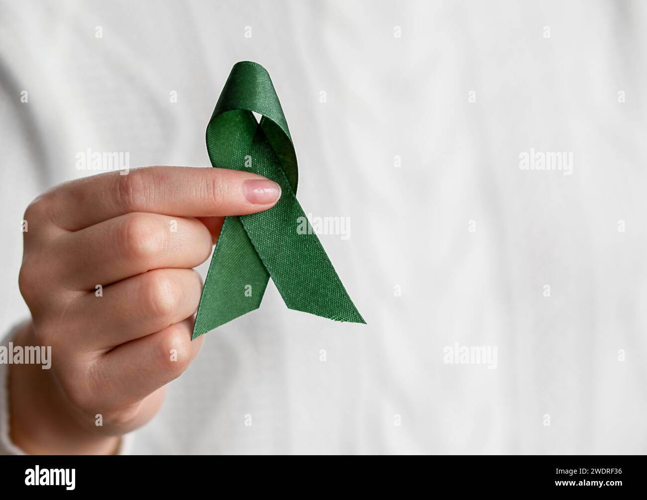 Woman Holding Green Ribbon. Female and Women's Health Stock Photo