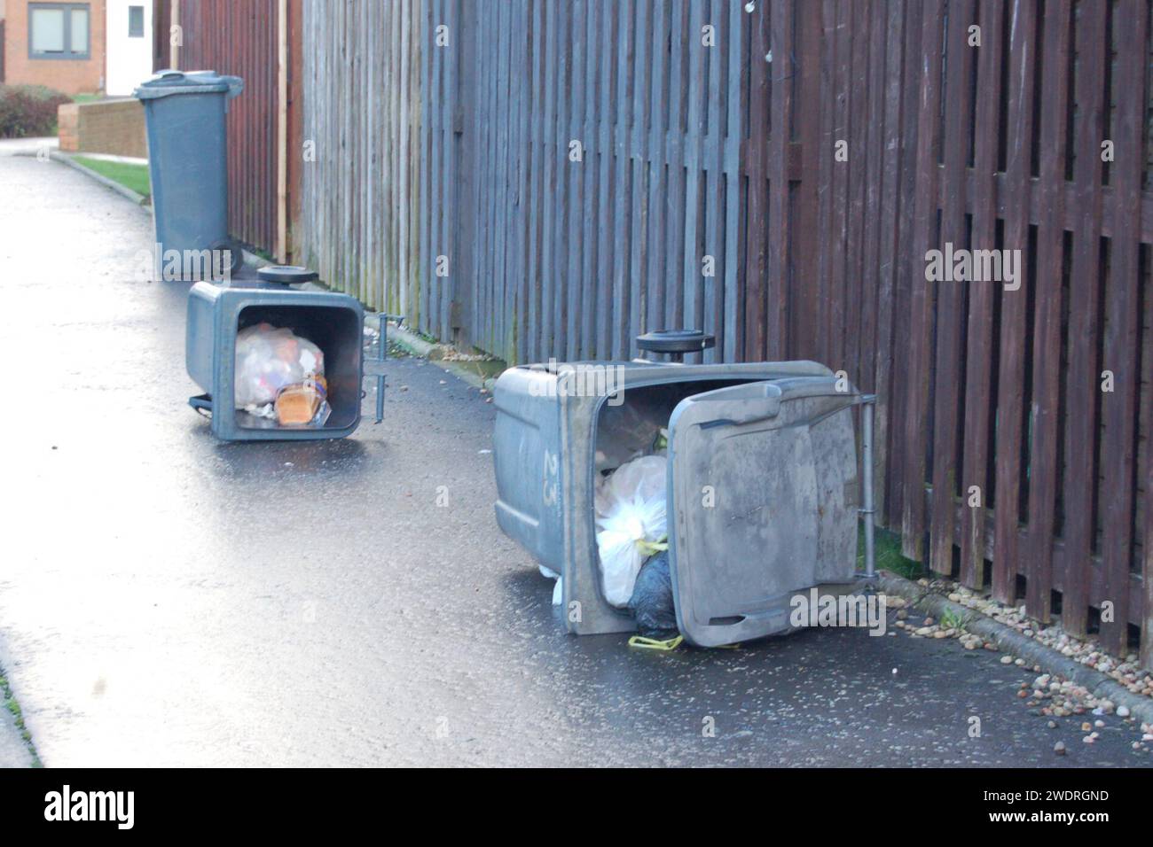 Displaced wheelie bins r in Muirhouse, Edinburgh after storm Isha blew
