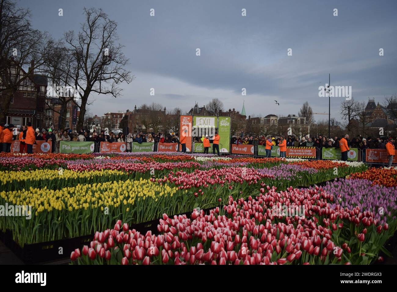 A short while ago, thousands gathered in a massive crowd on the 3rd