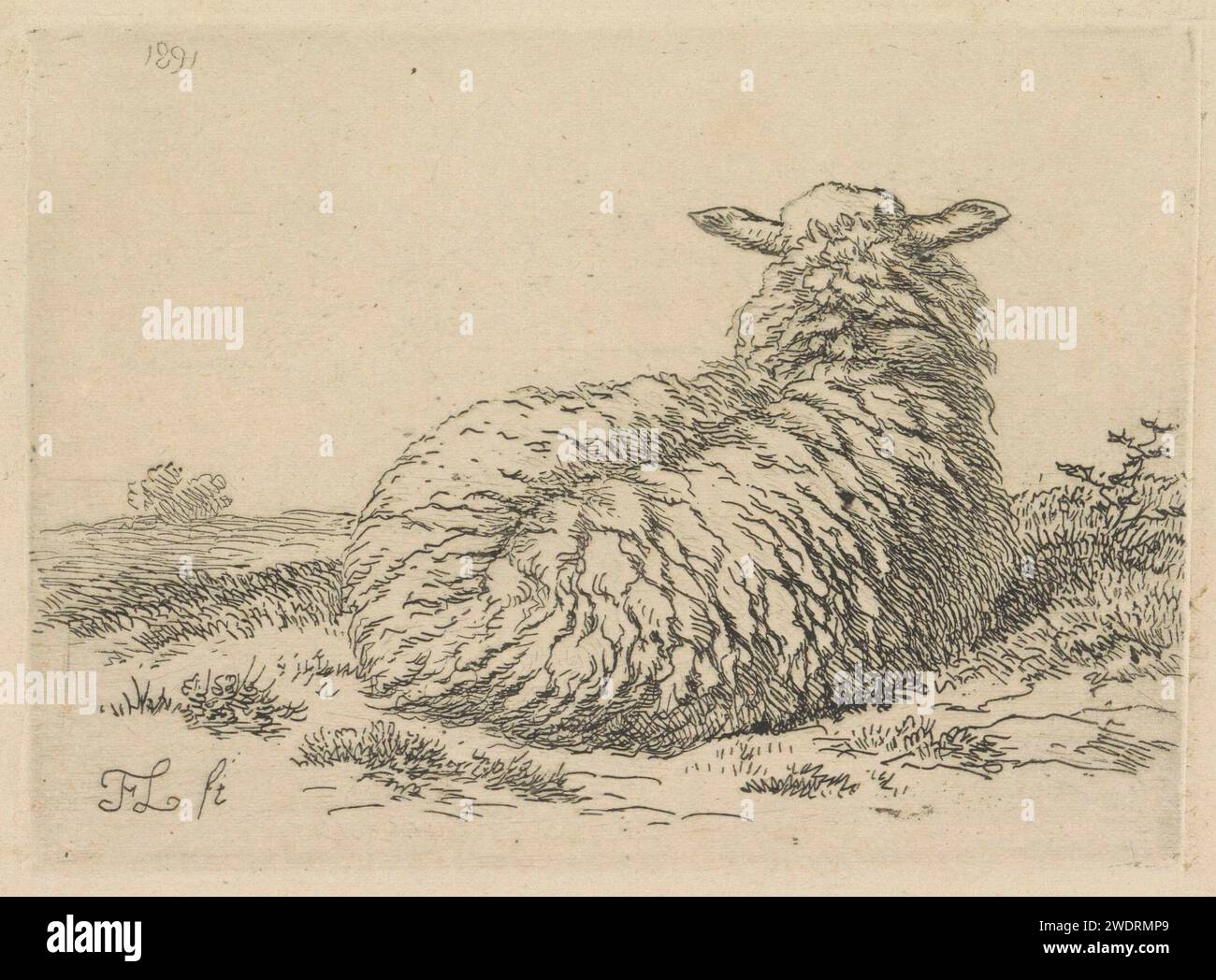 Lying Schaap, Frans Lebret, 1891 print Lying sheep, seen from behind ...