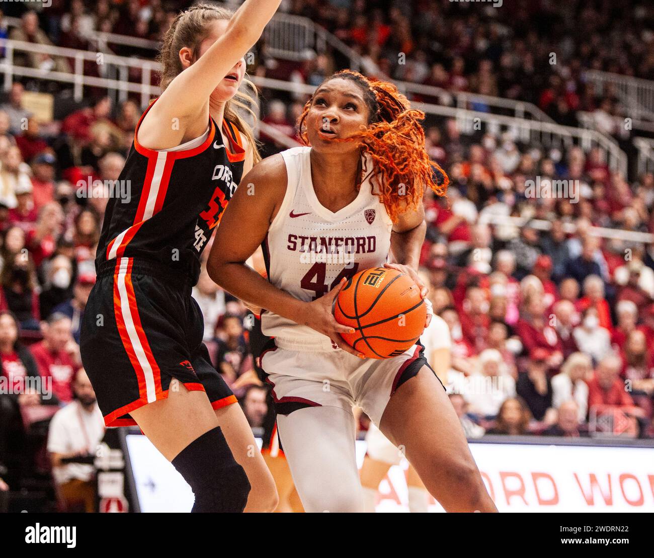 Stanford CA USA 21st Jan 2024 A Stanford Forward Kiki Iriafen 44 stanford-ca-usa-21st-jan-2024-a-stanford-forward-kiki-iriafen-44
