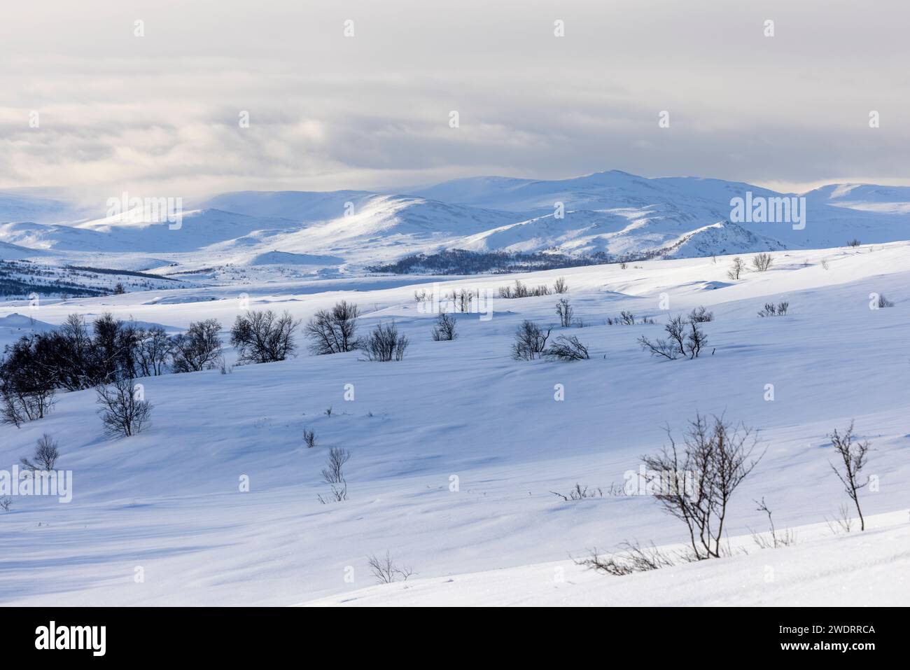 Aslak glacier park norwegian encore weather