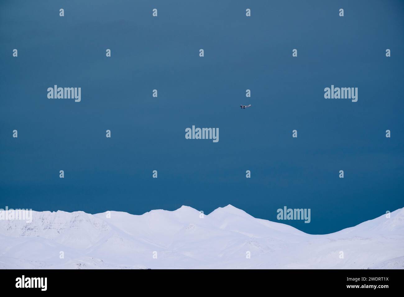 Bird flying over frozen snow landscape against blue sky in daylight Stock Photo