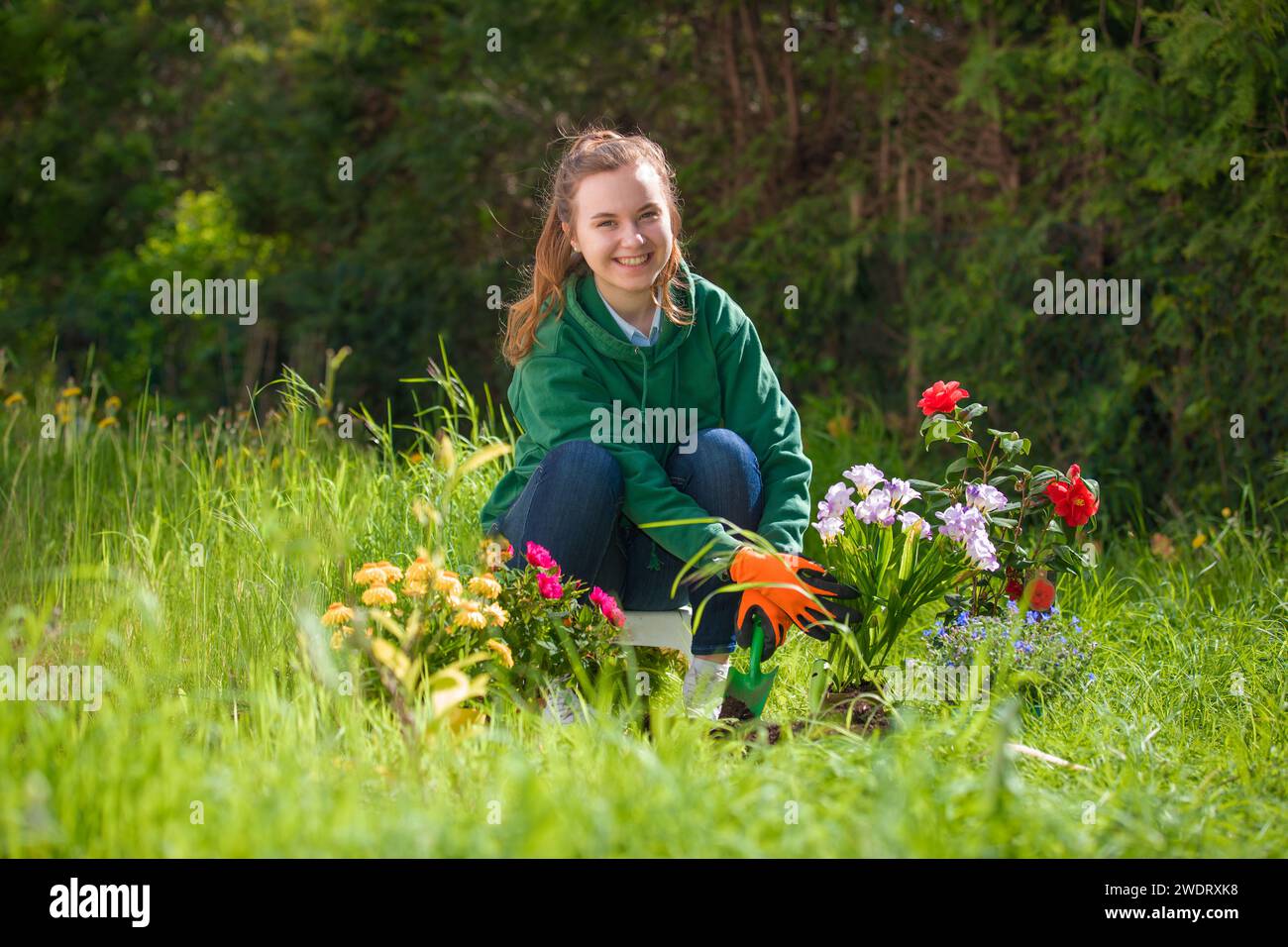 pretty, young woman planting flowers in the soil Stock Photo - Alamy