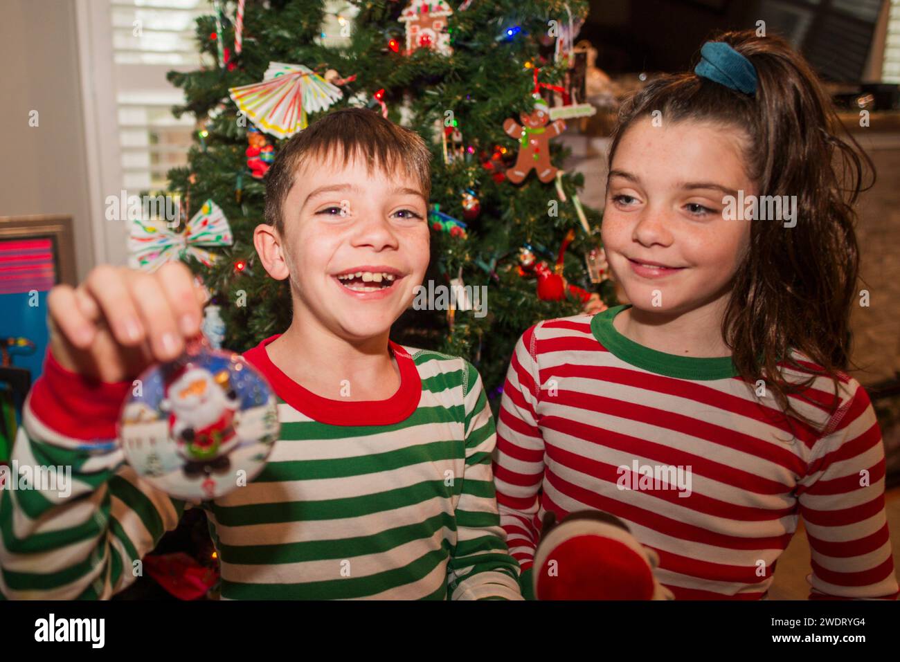 Twins  goof around the christmas tree Stock Photo