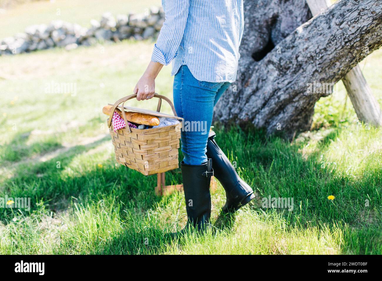 Walking with picnic basket hi-res stock photography and images - Alamy