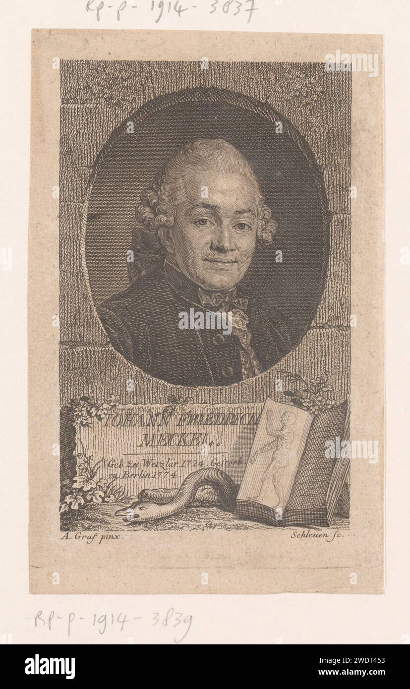 Portrait van Johann Friedrich Meckel, Johann Friedrich Schleuen, after Anton Graff, 1774 - 1784 print   paper engraving / etching historical persons. snakes. physiology and anatomy Stock Photo