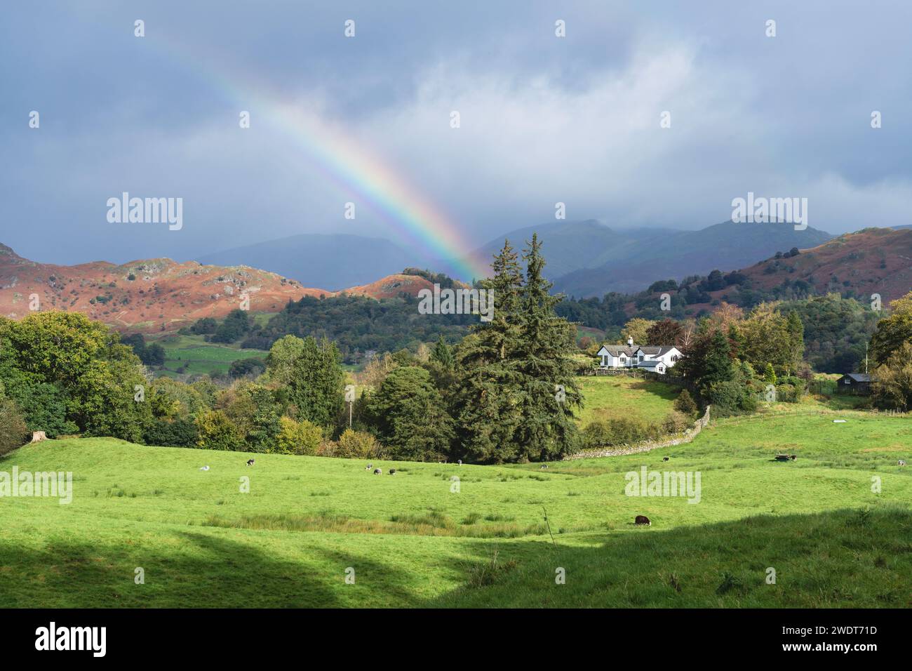 Rainbow and showers over the Cumbrian Fells around Elter Water (Elterwater) in the south east Lake District, Lake District National Park Stock Photo