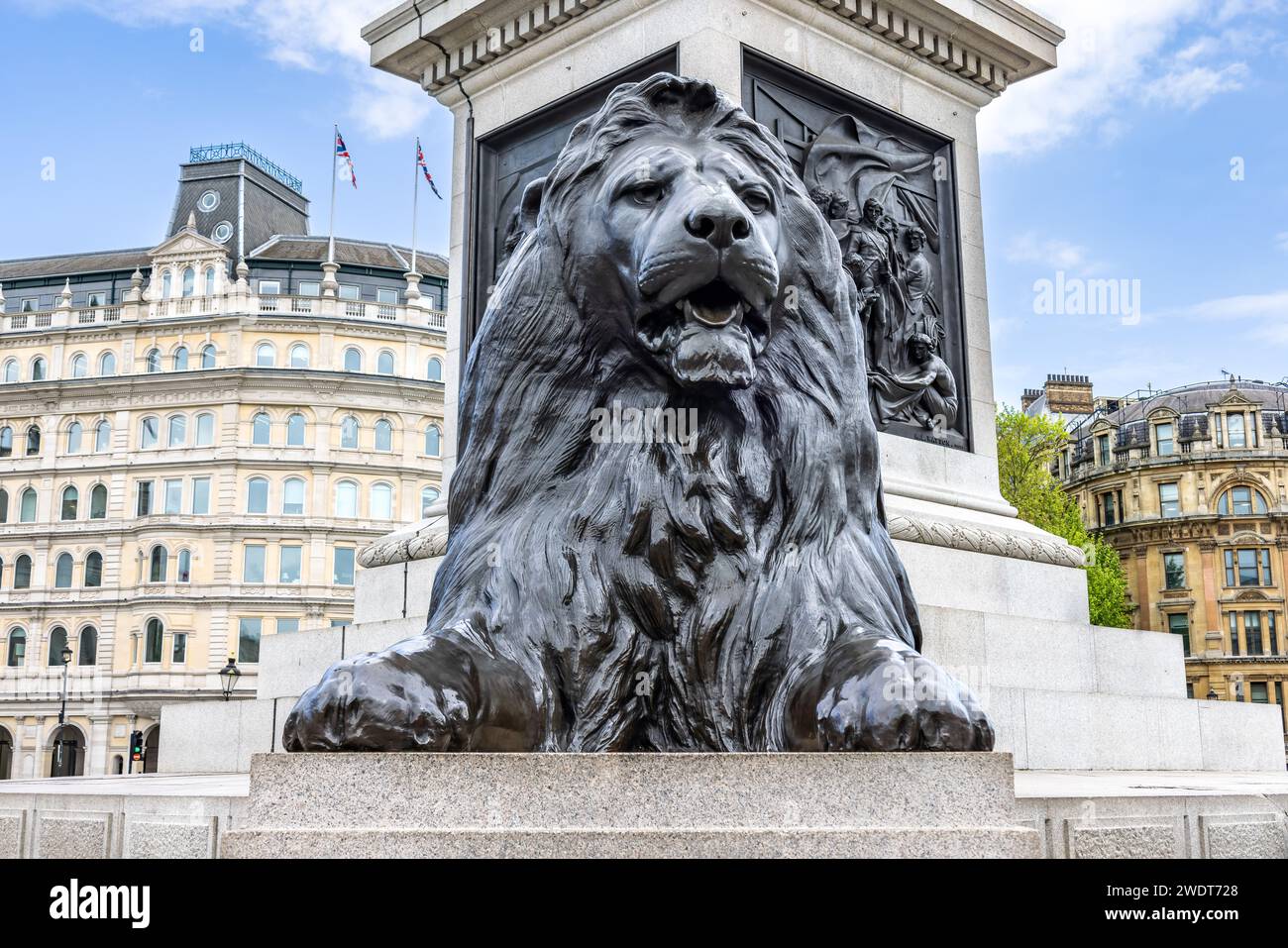 One of the four lions in Trafalgar Square, surrounding Nelson's Column, are commonly known as the ‘Landseer Lions’ Stock Photo