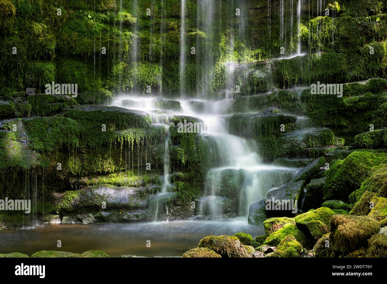 Scaleber Force Waterfall, near Settle, Yorkshire Dales National Park, Yorkshire, England, United Kingdom, Europe Stock Photo