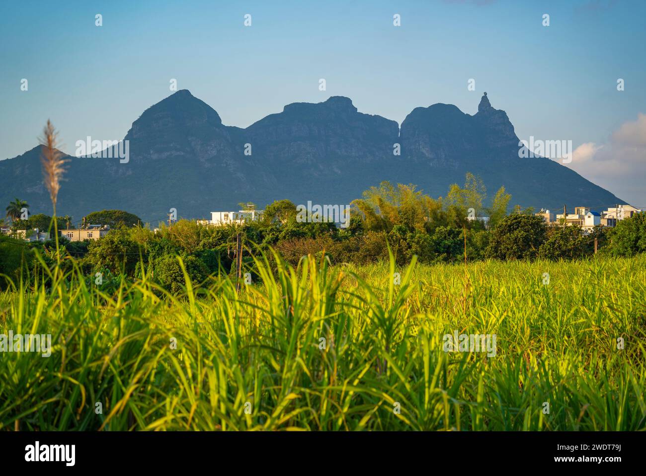View of farmland and mountains near Quatre Bornes, Mauritius, Indian