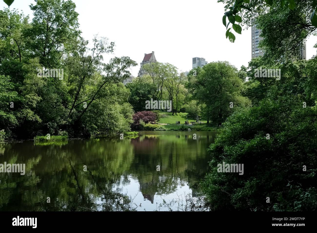 View of The Pond, one of seven bodies of water in Central Park located near Grand Army Plaza, across Central Park South from the Plaza Hotel Stock Photo