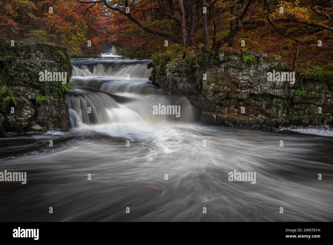 Autumnal waterfall along the Four Waterfalls walk, Waterfall Country, Brecon Beacons National Park, South Wales, United Kingdom, Europe Stock Photo