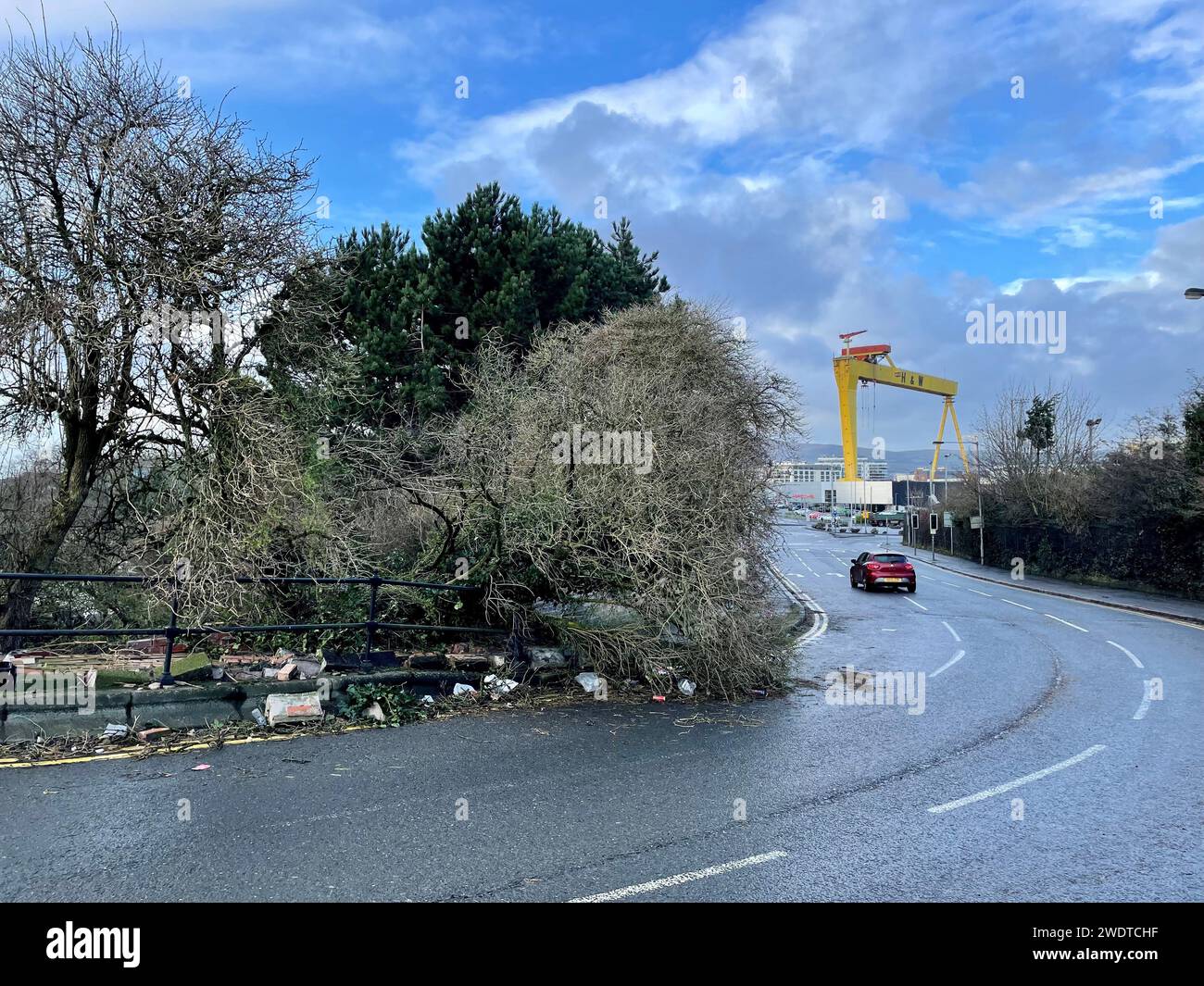 A fallen tree and collapsed wall partially obstruct Dee Street in east