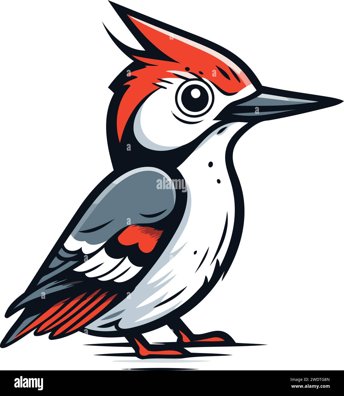 Cute Woodpecker bird vector illustration isolated on white background