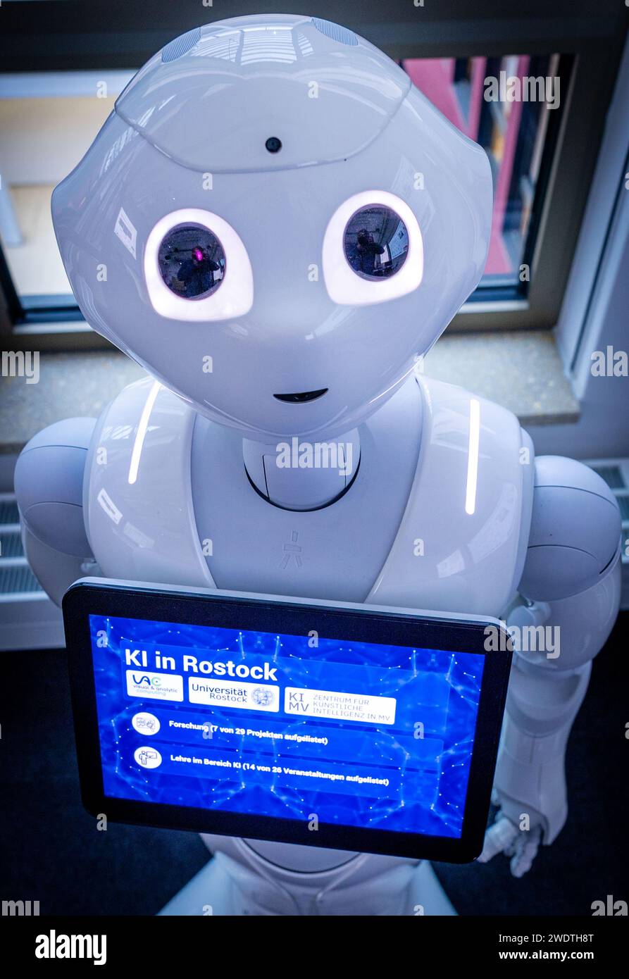 Rostock, Germany. 22nd Jan, 2024. The words 'AI in Rostock' can be read on the display of the Pepper robot. The robot, manufactured by the company Aldebaran Robotics, was programmed by the Rostock scientists for the care of stroke patients. The Science Minister of Mecklenburg-Vorpommern learned about the current research work during a visit to the Center for Artificial Intelligence (AI) in Mecklenburg-Vorpommern at the University of Rostock. Credit: Jens Büttner/dpa/Alamy Live News Stock Photo