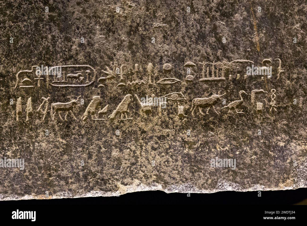 Egypt, Saqqara, Serapeum necropolis : A dedication text to an Apis bull, by the pharao Kababash. Stock Photo