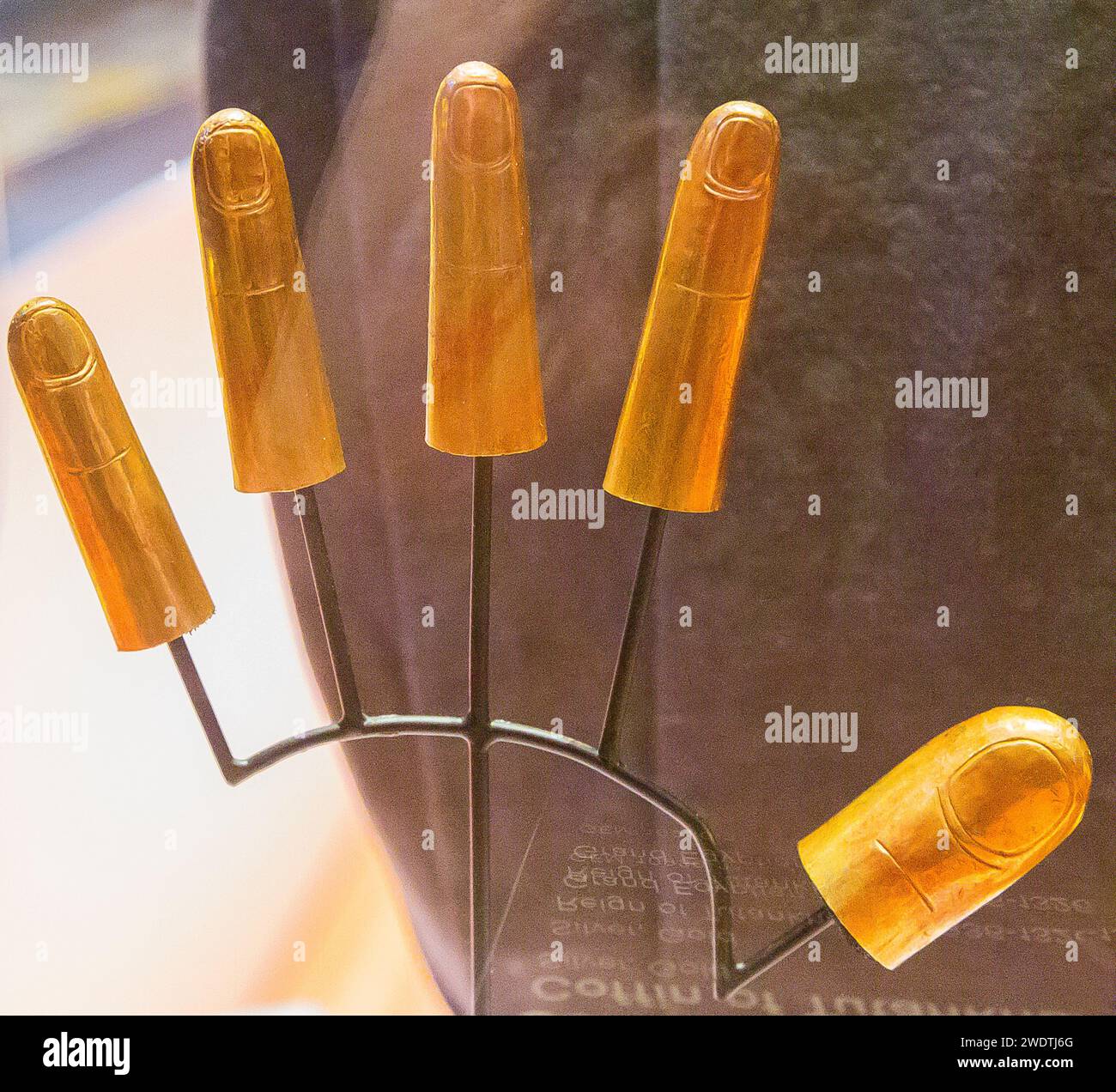 Finger anatomy hires stock photography and images Alamy