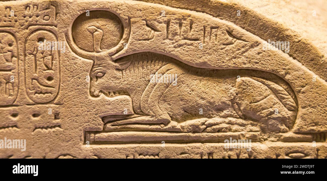 Egypt, Saqqara, Serapeum, Apis bull stele, also showing another sacred bull : Mnevis. Stock Photo