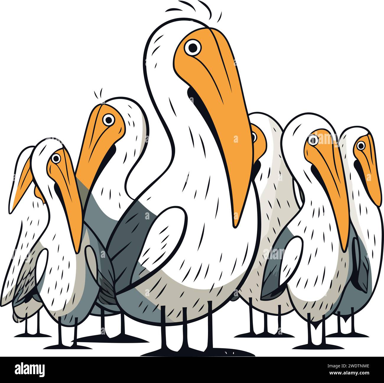 Pelicans. Cartoon vector illustration. Isolated on white background ...