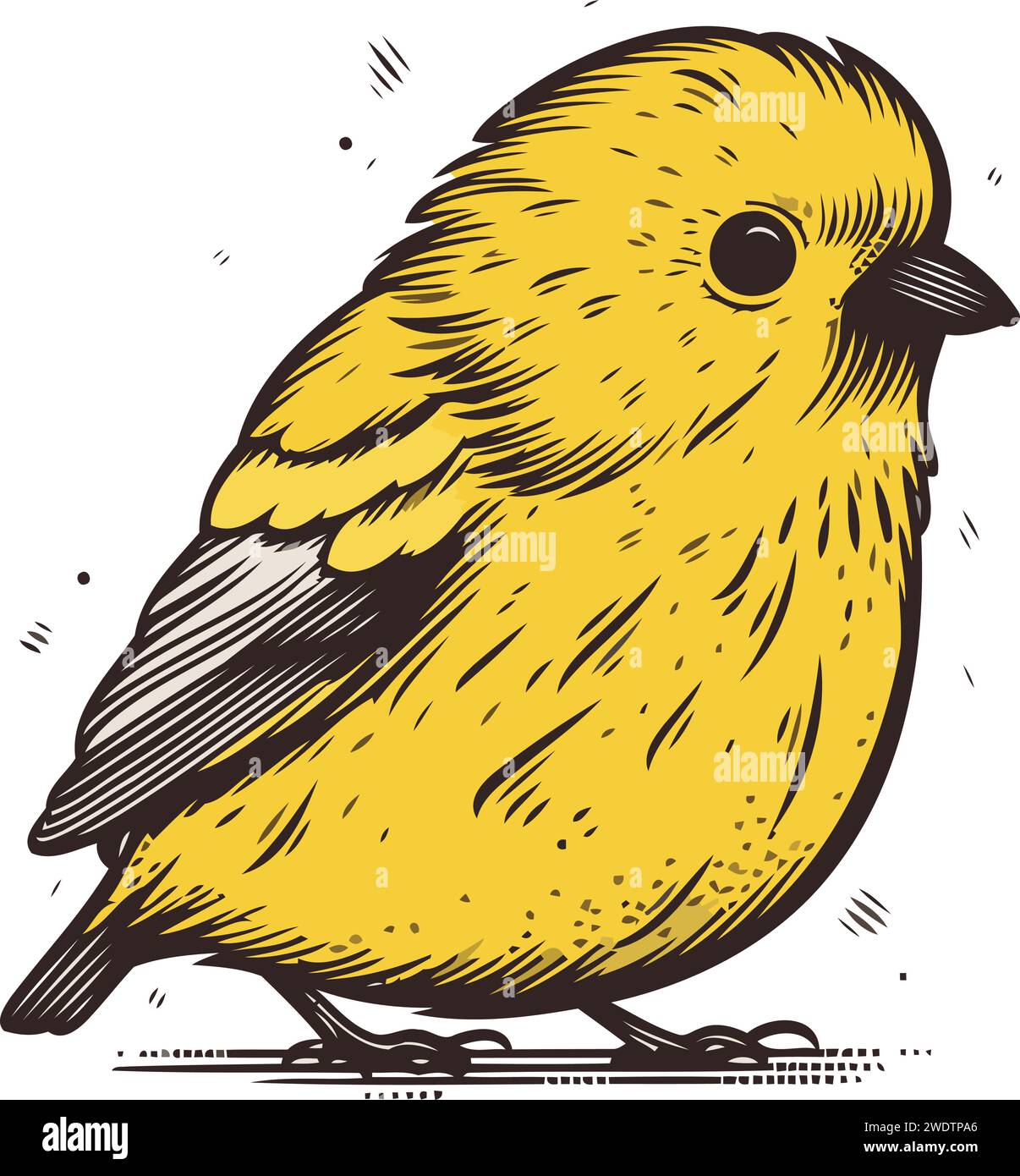 Goldfinch bird. Hand drawn vector illustration in sketch style Stock