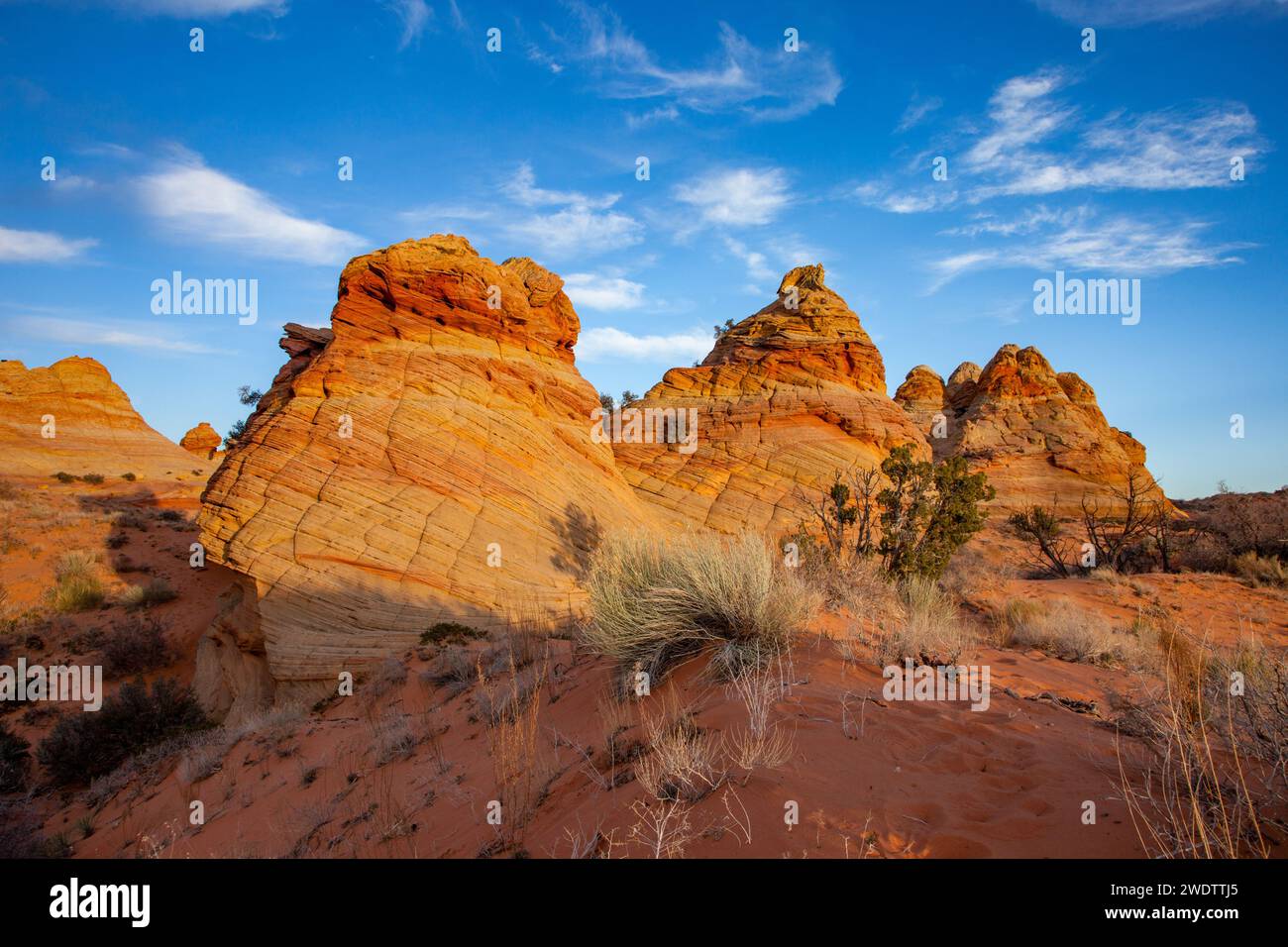 Late Afternoon Light On Eroded Navajo Sandstone Formations In South late-afternoon-light-on-eroded-navajo-sandstone-formations-in-south