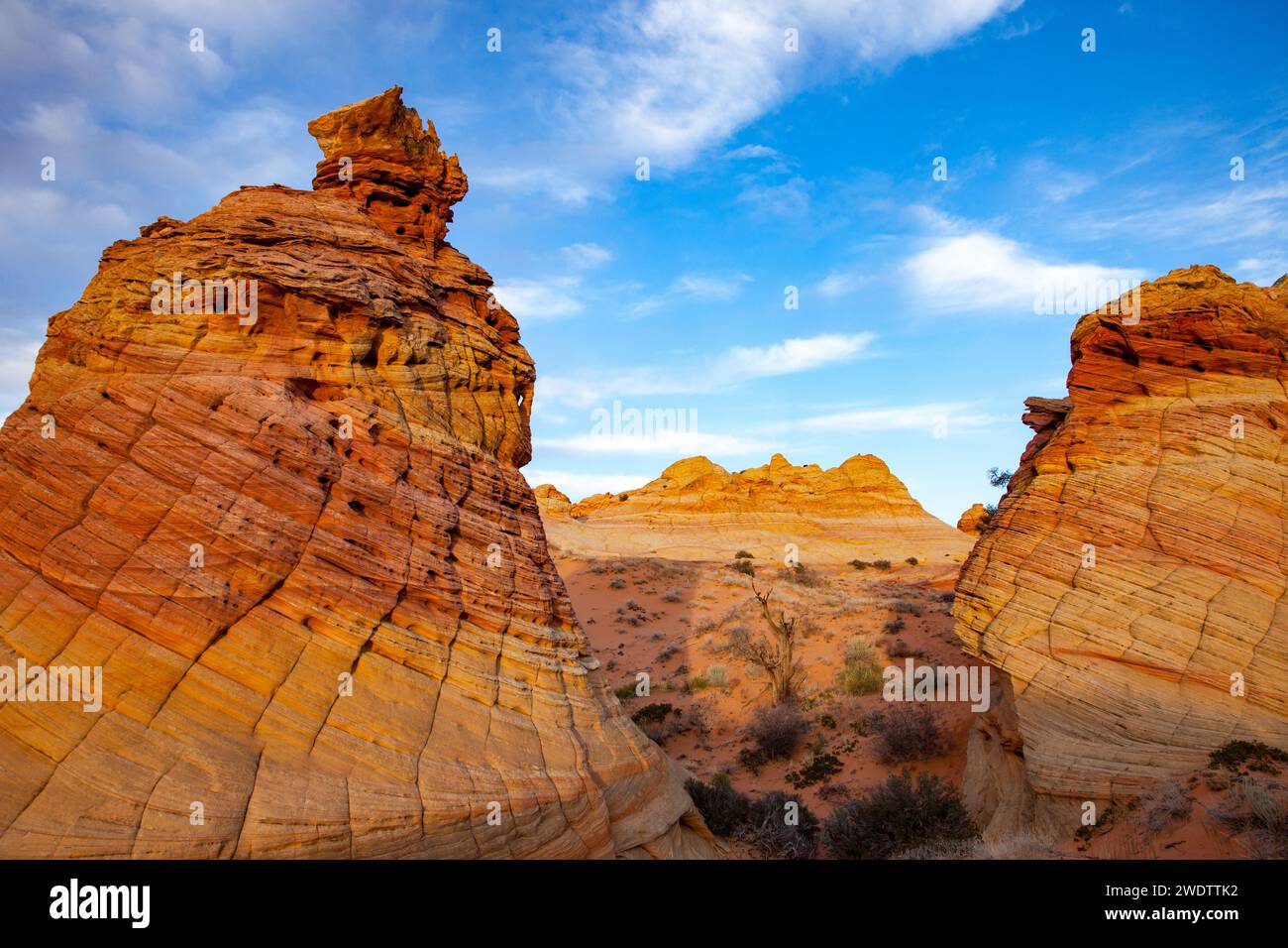 Late Afternoon Light On Eroded Navajo Sandstone Formations In South 