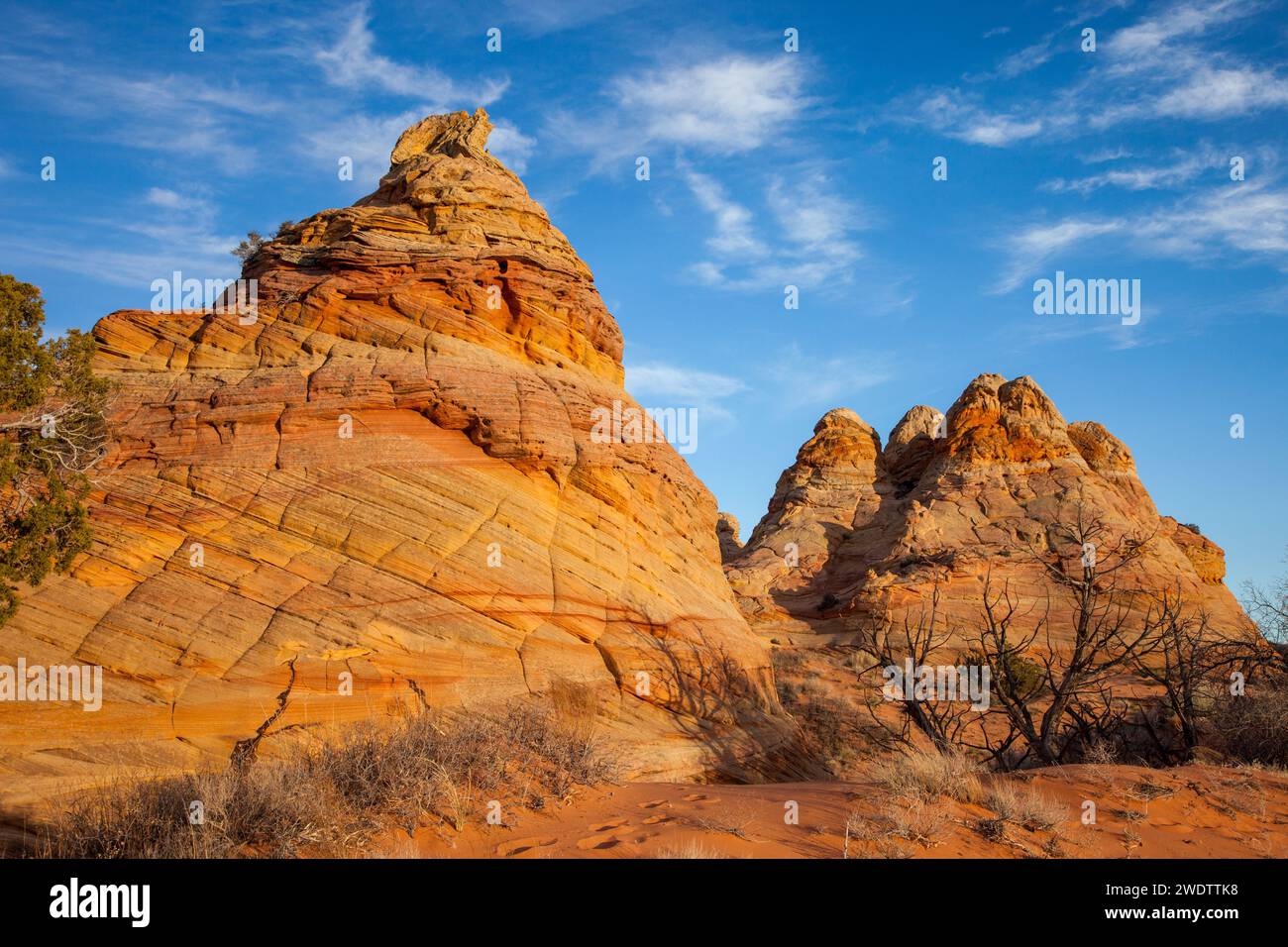 Late Afternoon Light On Eroded Navajo Sandstone Formations In South 