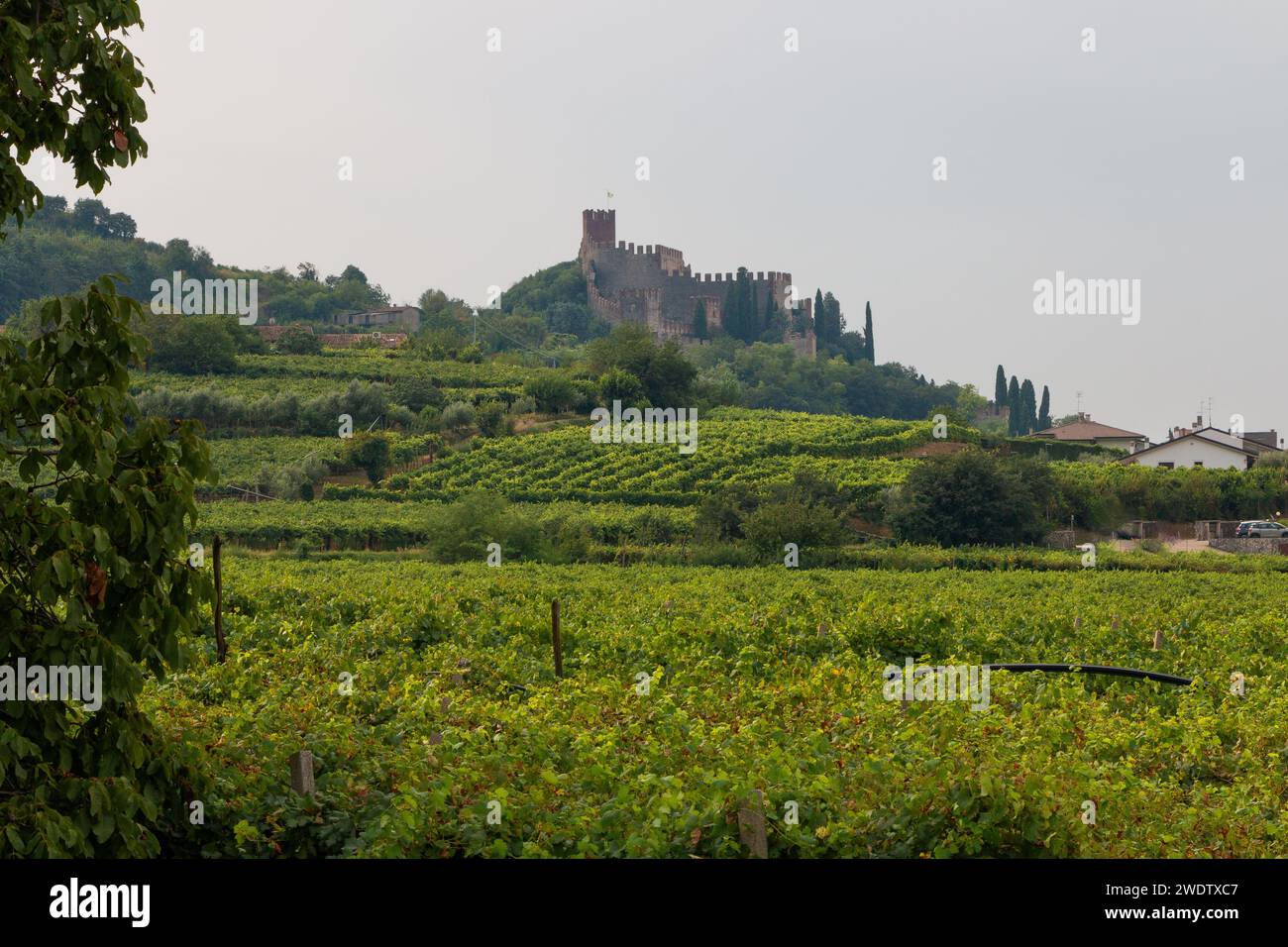 the castle of Soave against the backdrop of magnificent vineyards Stock Photo
