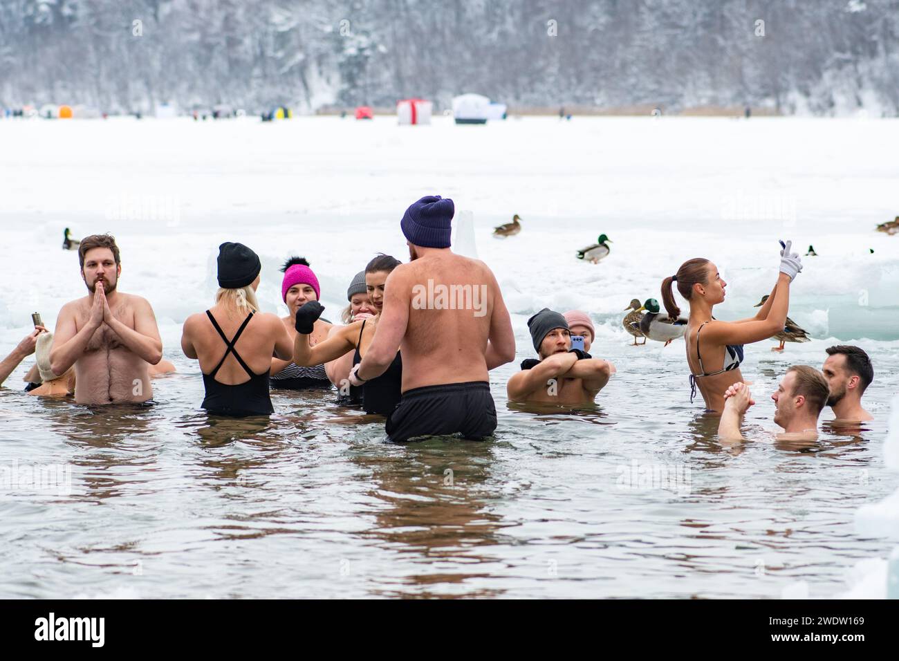 Group of people ice bathing together in the freezing cold water of a ...