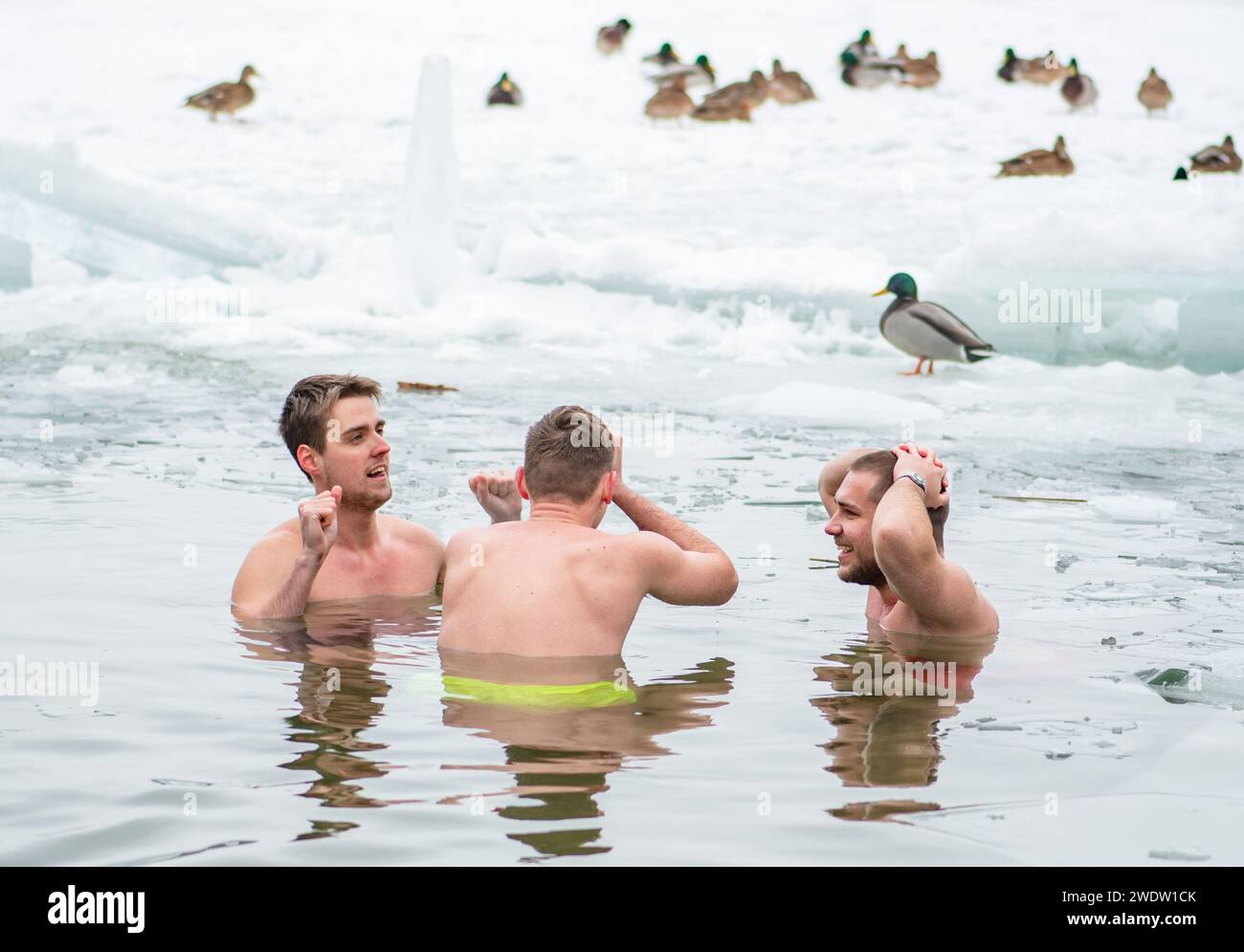 Group of boys or men ice bathing in the freezing cold water of a frozen ...