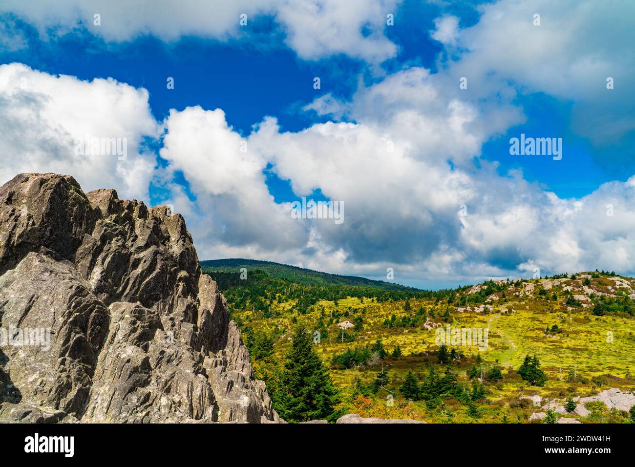 A beautiful landscape in Grayson Highland State Park, Virginia Stock ...