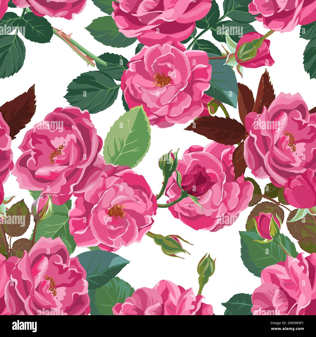Seamless pattern of pink roses Stock Vector Image & Art - Alamy