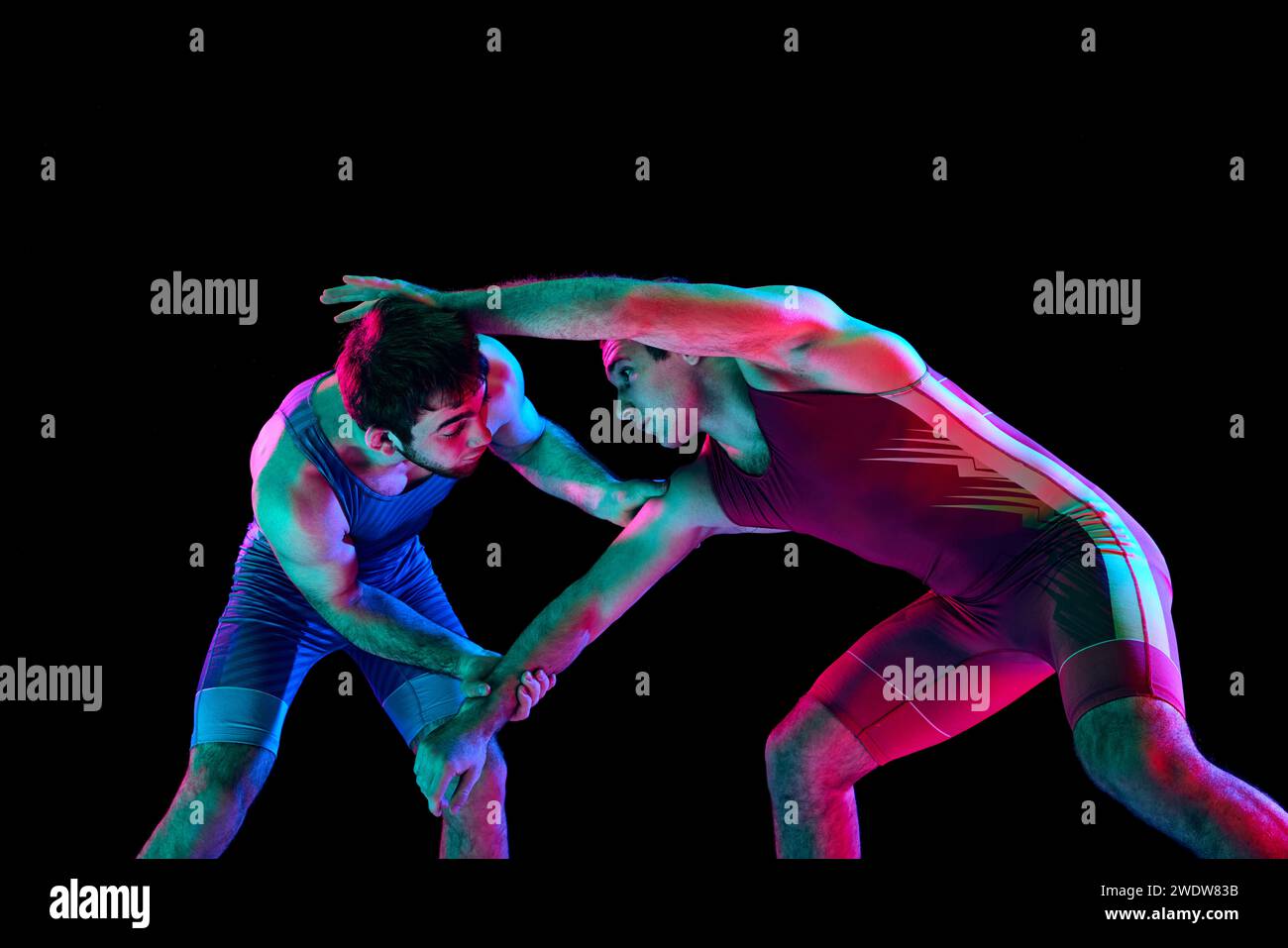 Neutral Fight Position Young skilled wrestlers in blue and red uniform hand fighting in ...