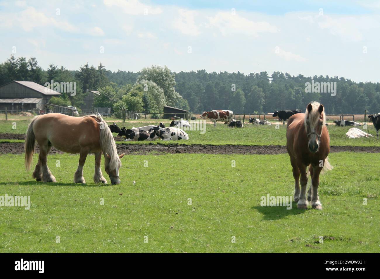 2012 draft hi-res stock photography and images - Alamy