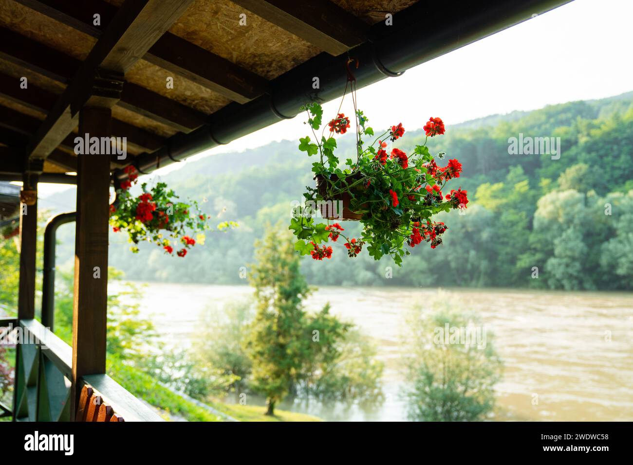 Porch of a wooden house in the forest on the river bank Stock Photo - Alamy