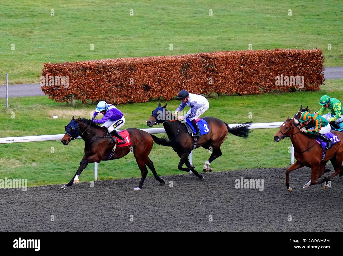 Hayley Turner Jockey 2024 Hi res Stock Photography And Images Alamy hayley-turner-jockey-2024-hi-res-stock-photography-and-images-alamy