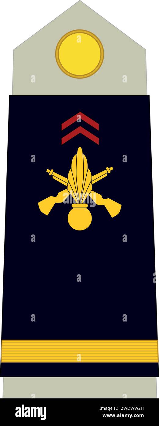 Shoulder pad military officer insignia of the France SOUS-LIEUTENANT (SUB-LIEUTENANT) Stock Vector