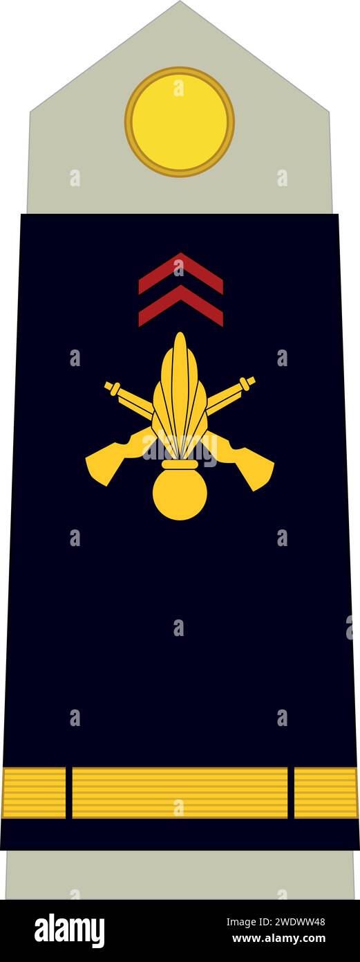 Shoulder pad military officer insignia of the France ASPIRANT Stock Vector