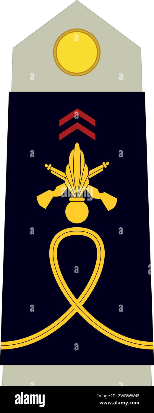 Shoulder pad military officer insignia of the France ÉLÈVE-OFFICIER (OFFICER CADET) Stock Vector