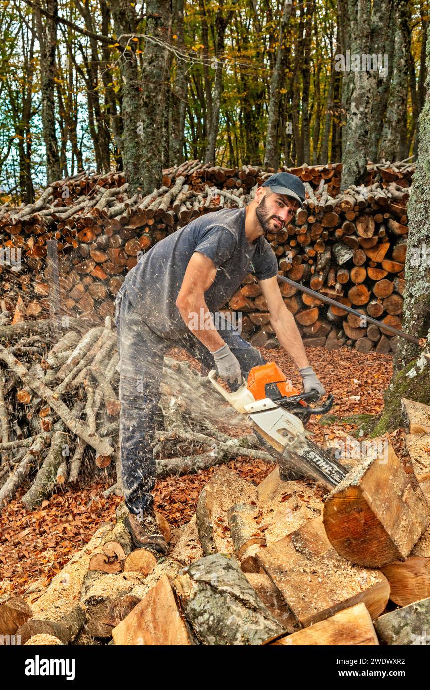 Logging in the forest of Mamali, close to Verdikoussia village, Antichasia mountains, municipality of Elassona, Larissa, Thessaly, Greece Stock Photo