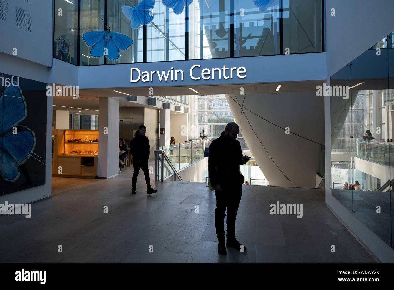 Entrance sign to the Darwin Centre at the Natural History Museum on 19th January 2024 in London, United Kingdom. The Darwin Centre was designed as a new home for the museums collection of tens of millions of preserved specimens, as well as new work spaces for the museums scientific staff and new educational visitor experiences. The museum exhibits a vast range of specimens from various segments of natural history. The museum is home to life and earth science specimens comprising some 80 million items within five main collections: botany, entomology, mineralogy, paleontology and zoology. The mu Stock Photo