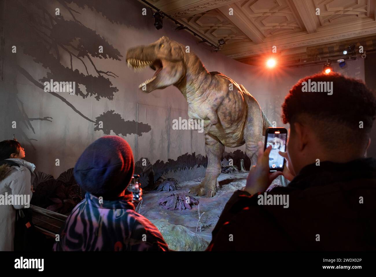 Visitors taking pictures of the animatronic Tyrannosaurus at the dinosaurs exhibition room at the Natural History Museum on 19th January 2024 in London, United Kingdom. The T. rex is a genus of coelurosaurian theropod dinosaur. The museum exhibits a vast range of specimens from various segments of natural history. The museum is home to life and earth science specimens comprising some 80 million items within five main collections: botany, entomology, mineralogy, paleontology and zoology. The museum is a centre of research specialising in taxonomy, identification and conservation. Stock Photo