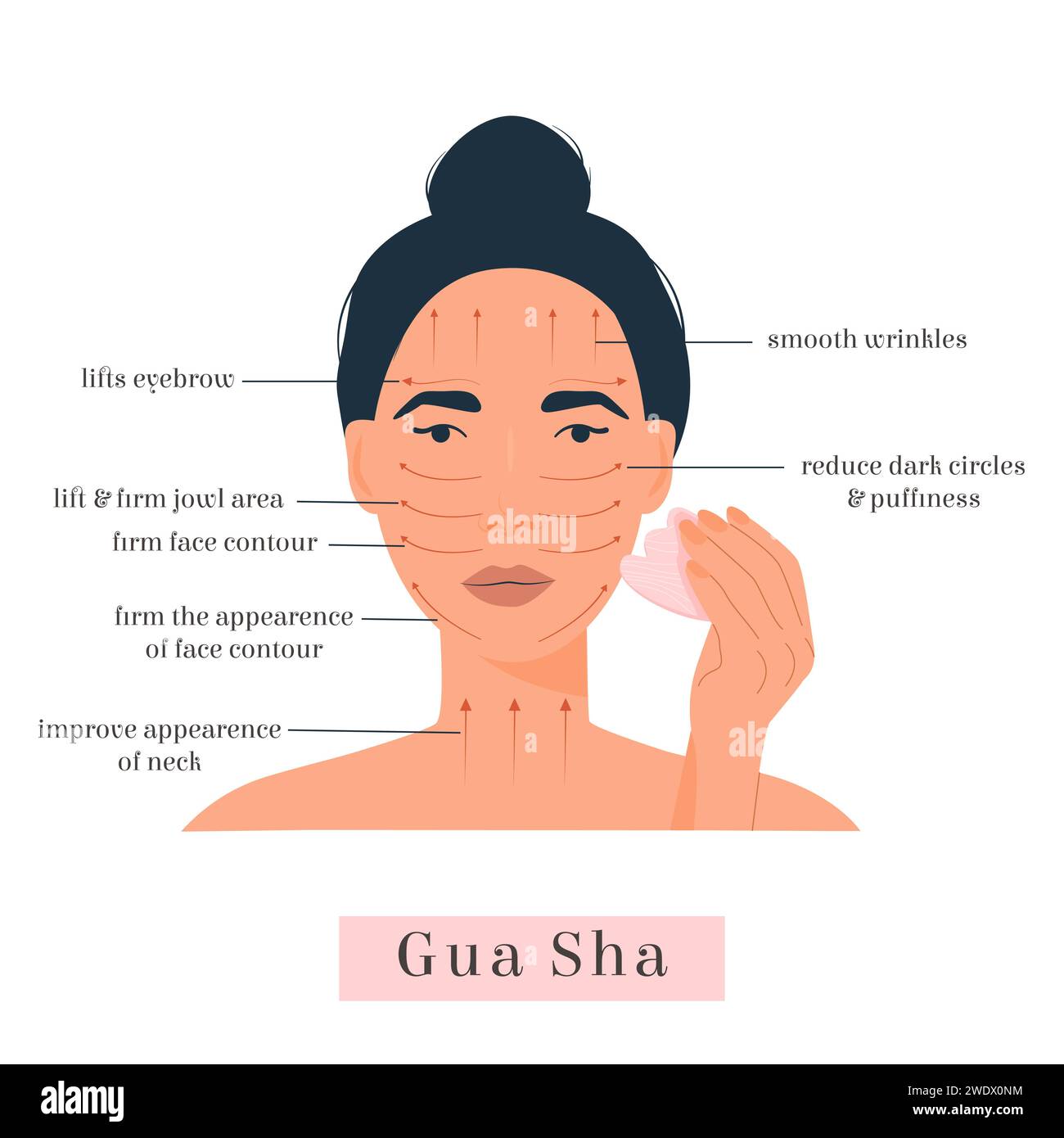 Infographic Of Gua Sha Scraper Facial Yoga Massage Direction For Rose