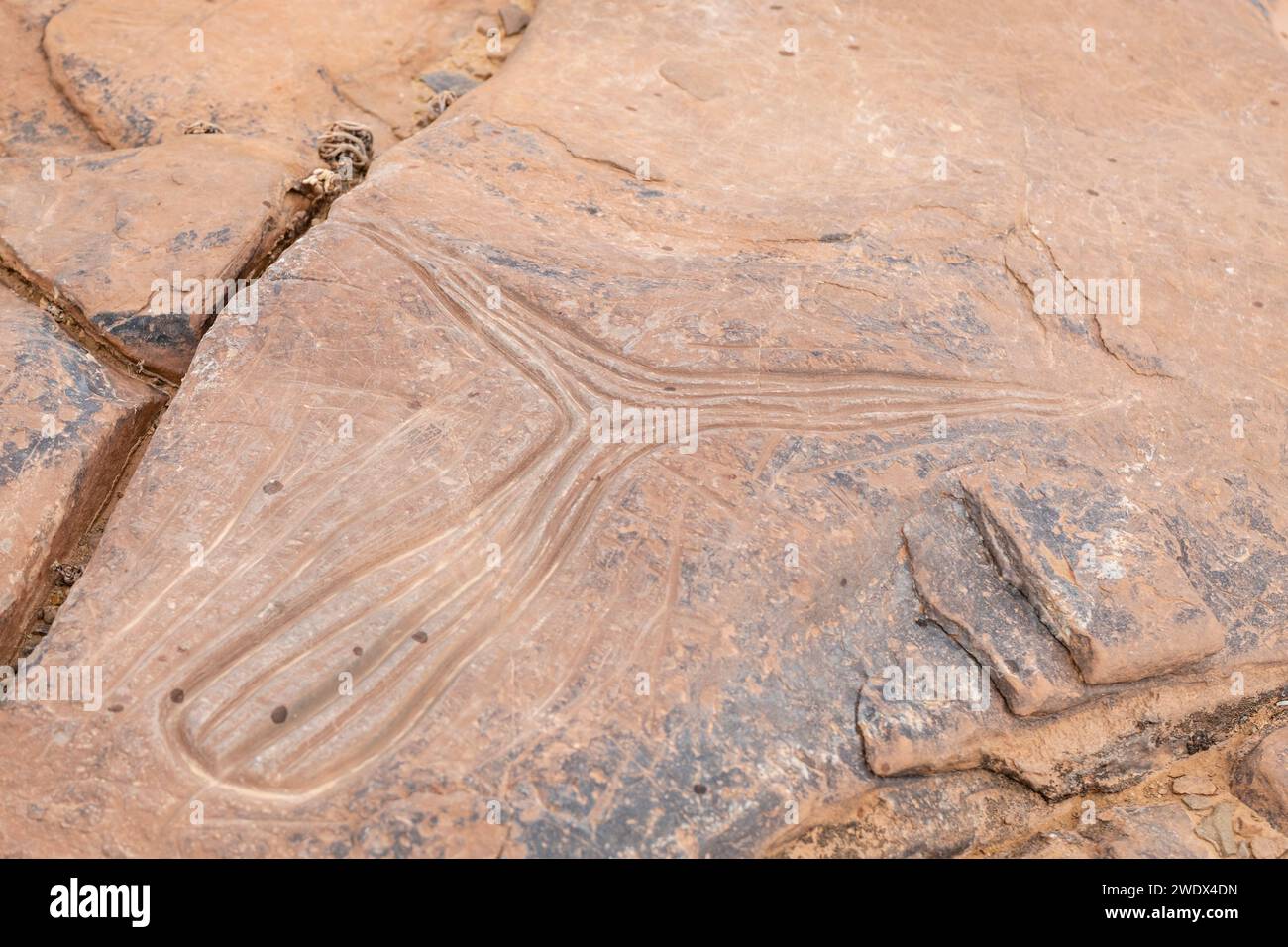 petroglifo, yacimiento rupestre de Aït Ouazik, finales del Neolítico, Marruecos, Africa Stock Photo