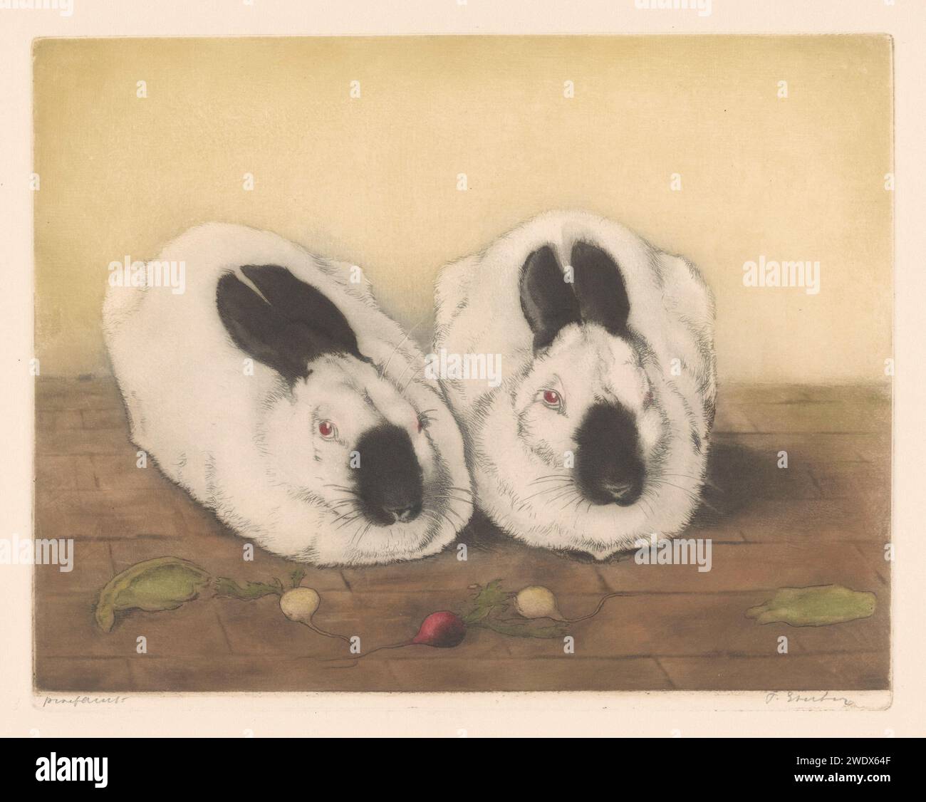 Two Himalayan Rabbits, Frans Everbag, 1887 - 1931 print Two lying rabbits, so -called fire noses, also known as Russians. In front of them is white and red radish.  paper etching rodents: rabbit. (non-fruit) products of plants or trees: radish Stock Photo