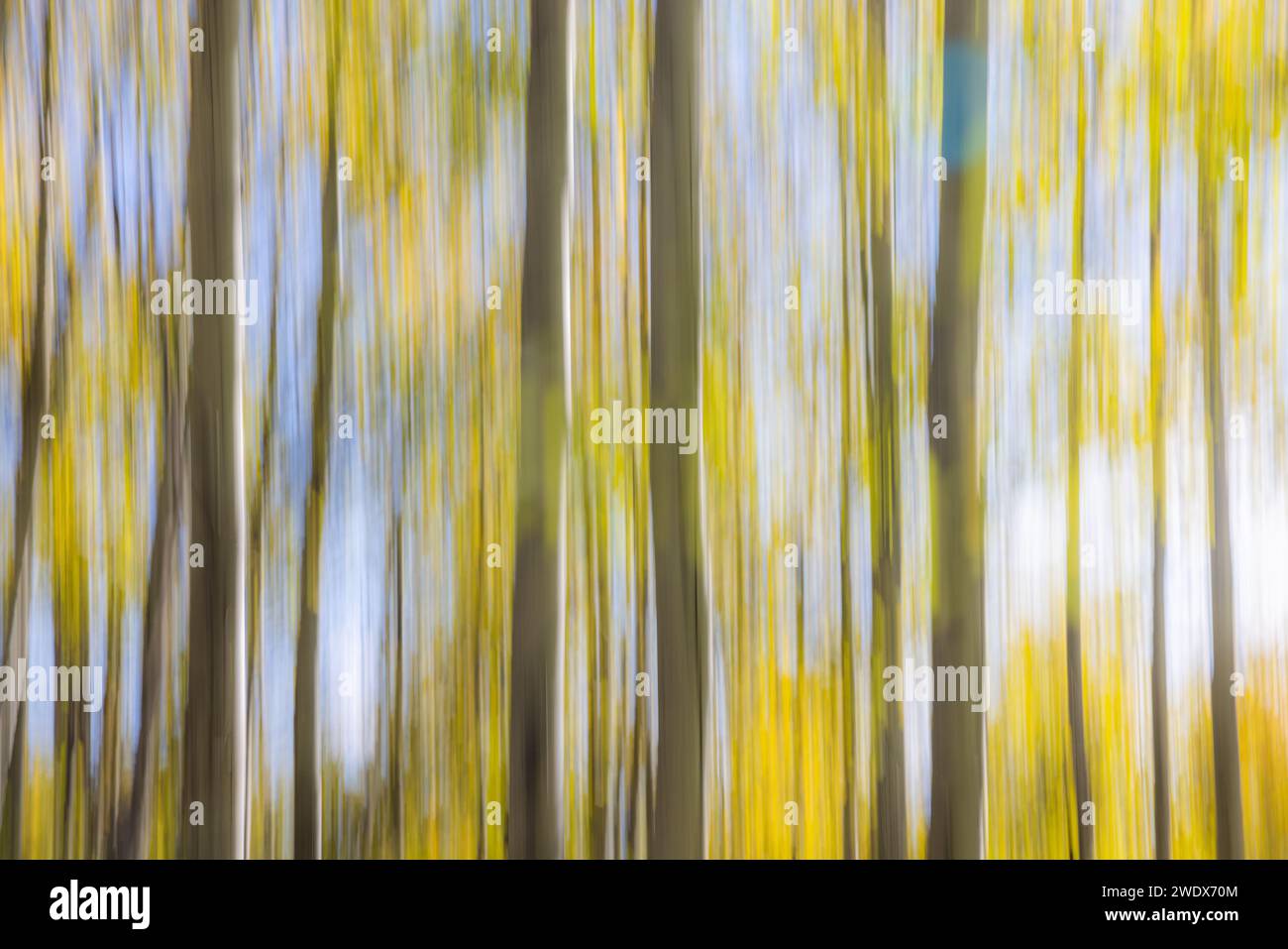 ICM Intentional camera movement technique used to create an abstract