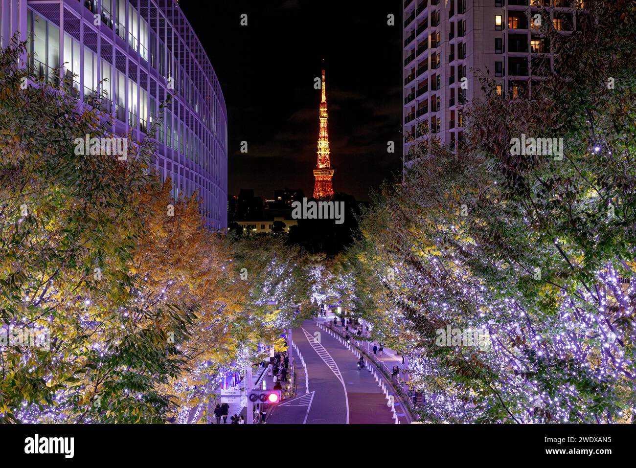 TOKYO/JAPAN - November 21 2023:christmas lights and a view of the tokyo tower in the roppongi district Stock Photo