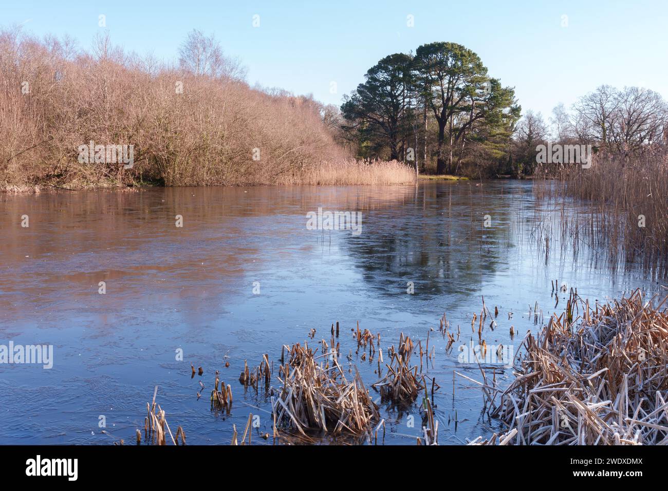 Frozen Ornamental Lake (Fishing Lake) at Southampton Common Stock Photo Alamy